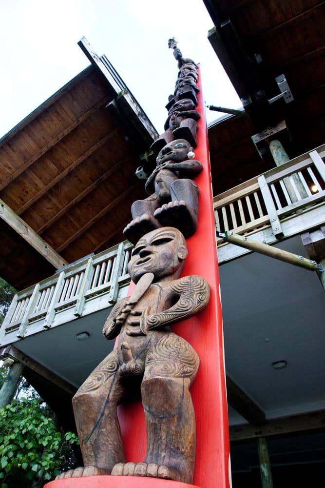 Native Bush Boardwalks