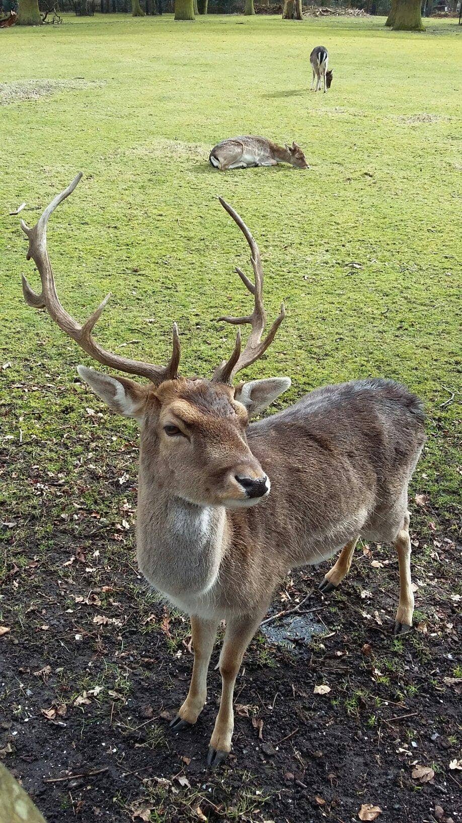 The Oldest Public Park