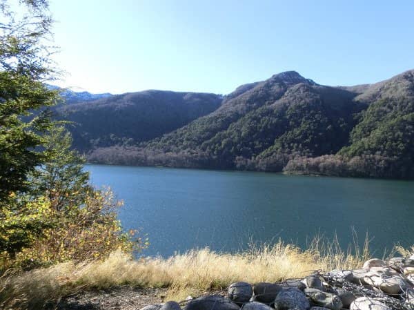 Autumn Foliage Spectacle