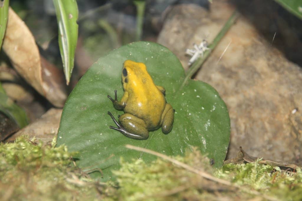 Children's Playgrounds