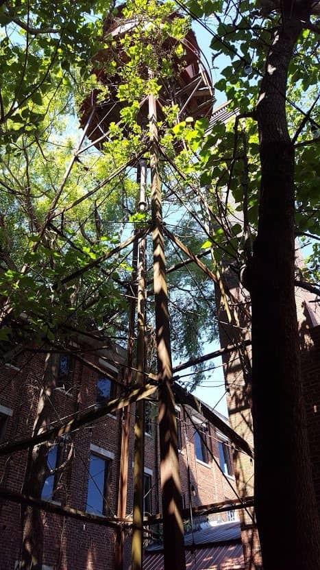 Dog-Friendly Patio Dining