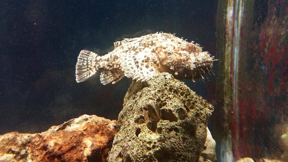 Educational Insights