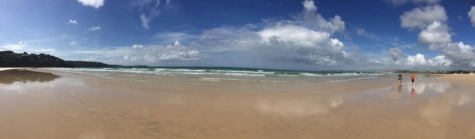 Dog-Friendly Paradise