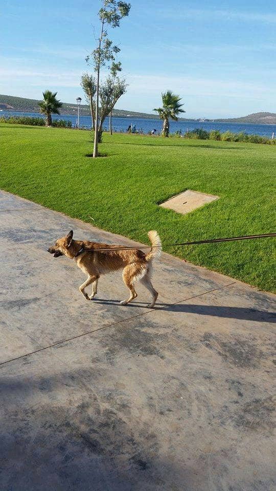 Serene Lagoonfront Views