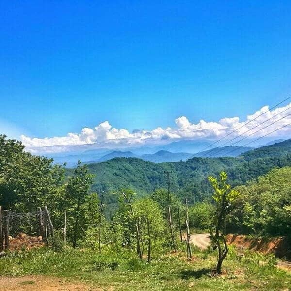 Tranquil Observation Deck