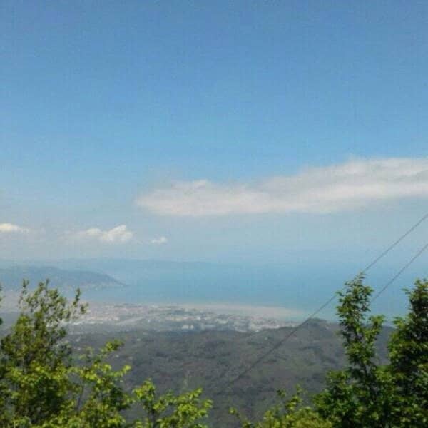 Rich Flora and Fauna