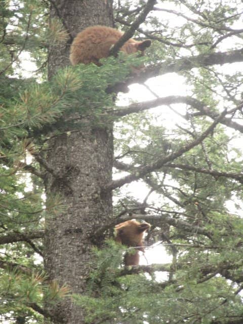 Laurance S. Rockefeller Preserve Visitor Center