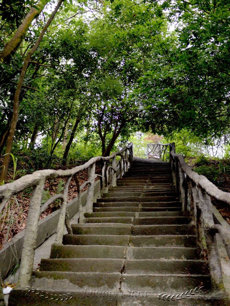 Mogollon Monster Trail