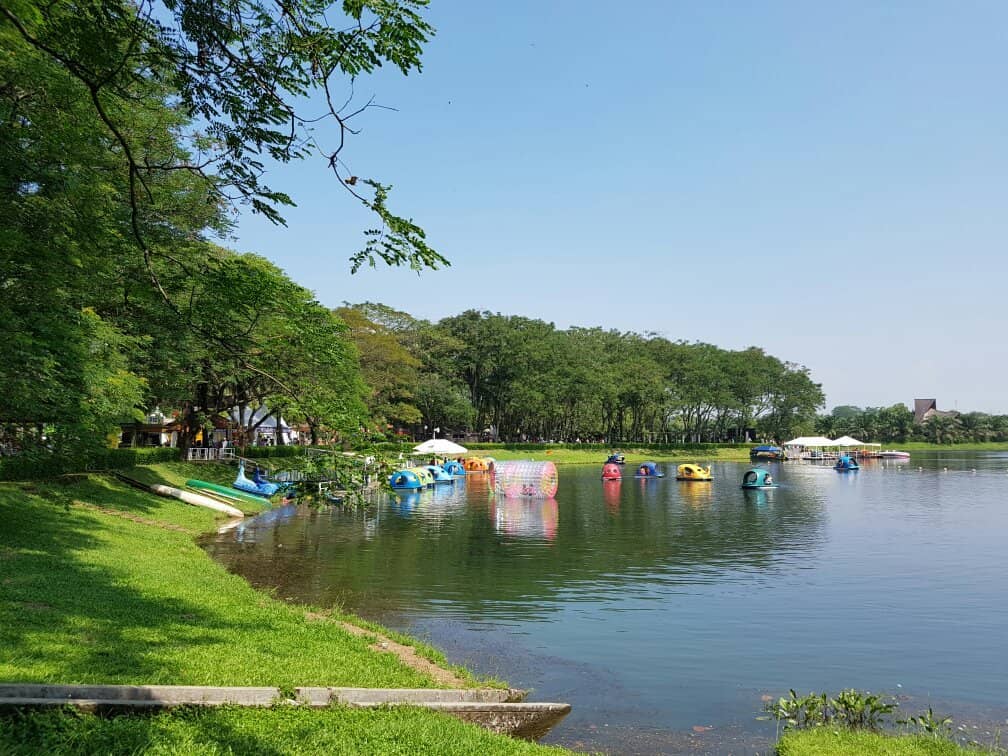 Fruit Picking Experience