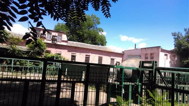 Diverse Animal Collection