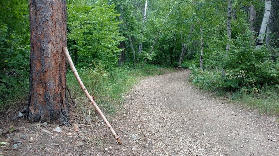 Spearfish Canyon Scenic Drive