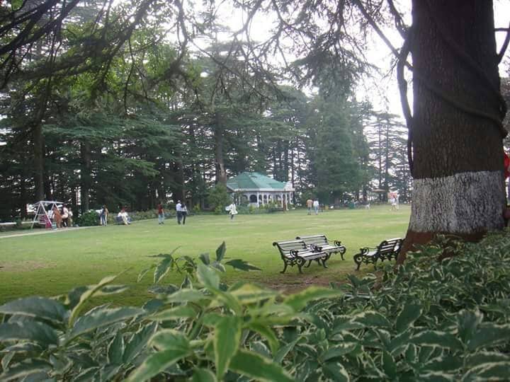 Serene Garden Strolls