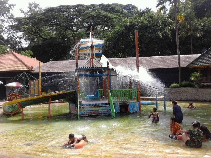 Encounter Free-Roaming Monkeys