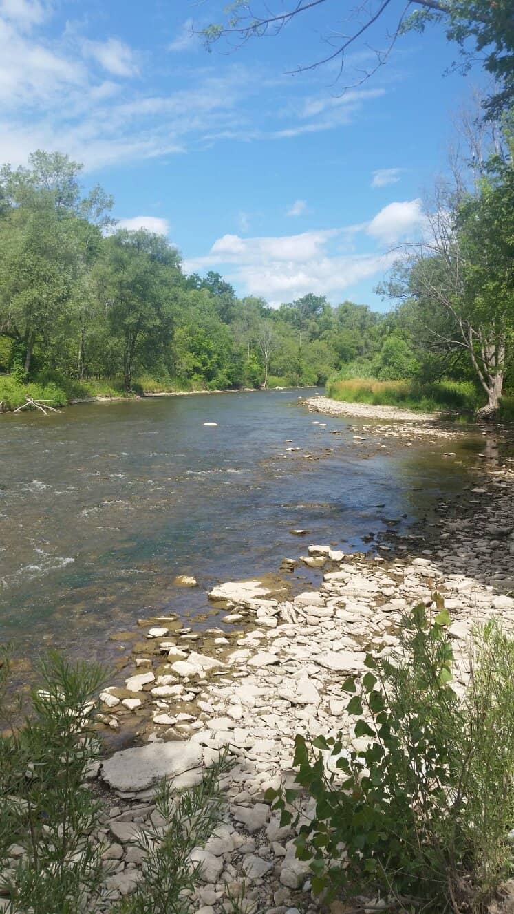 Autumn Foliage Spectacle