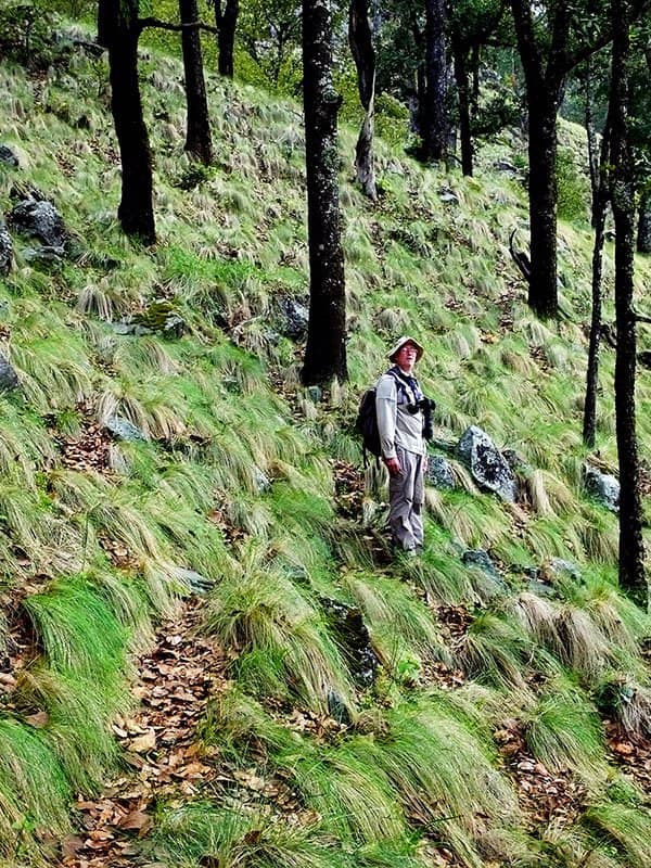 Volcán de Tequila Views