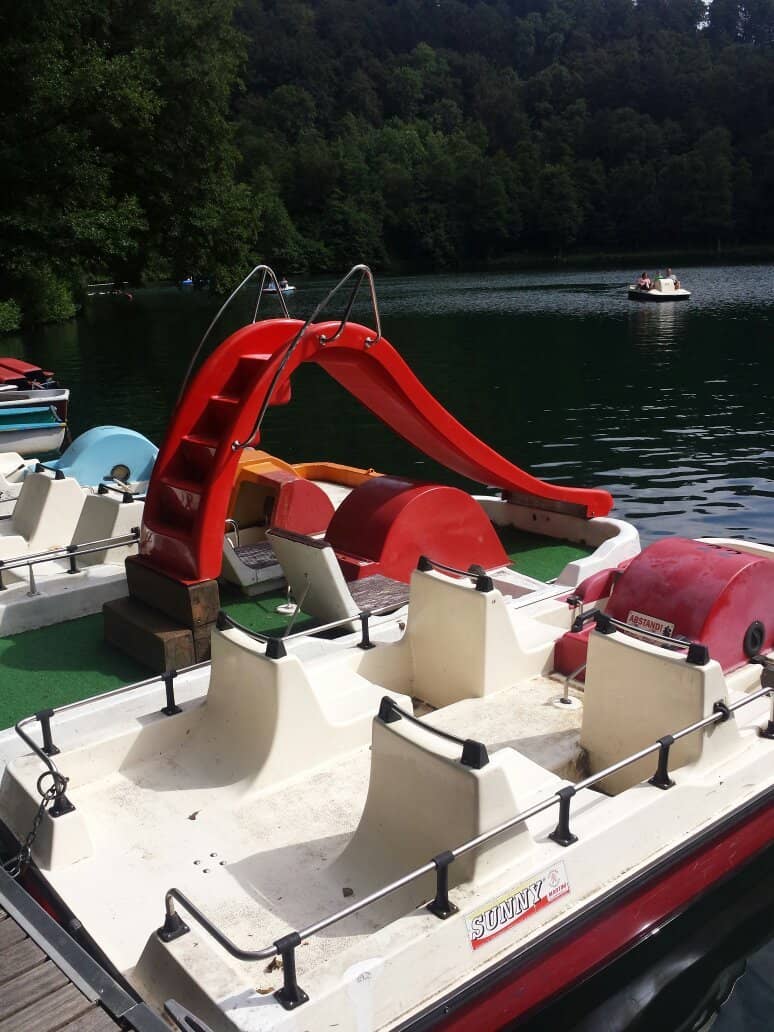 Diving Tower Thrills