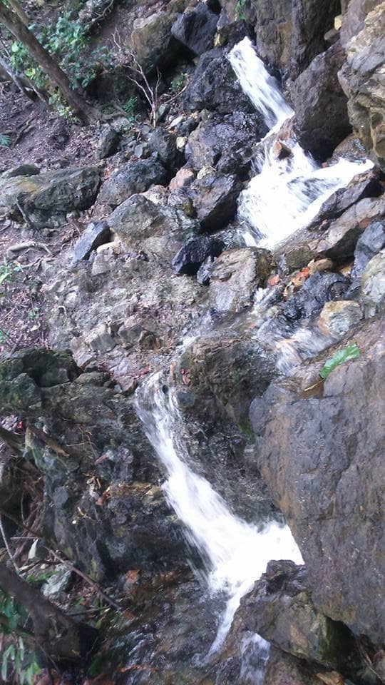 Rocky Trail Adventure