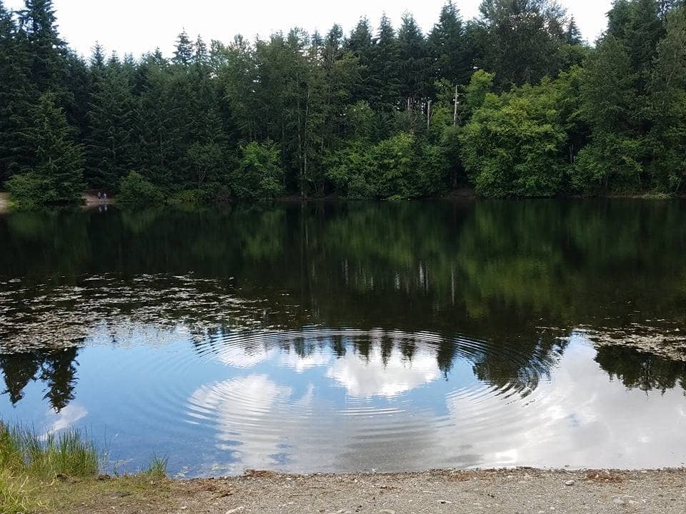 Taggart and Bradley Lake Loop