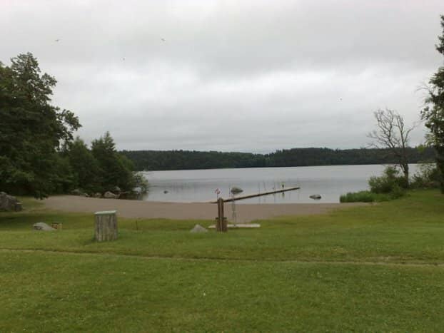 Expansive Green Fields