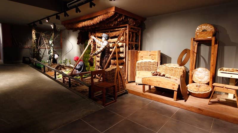 Historical Transformation