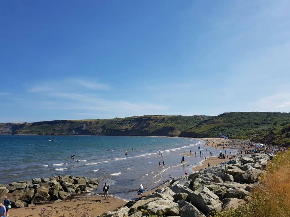 Fossil Hunting Adventures
