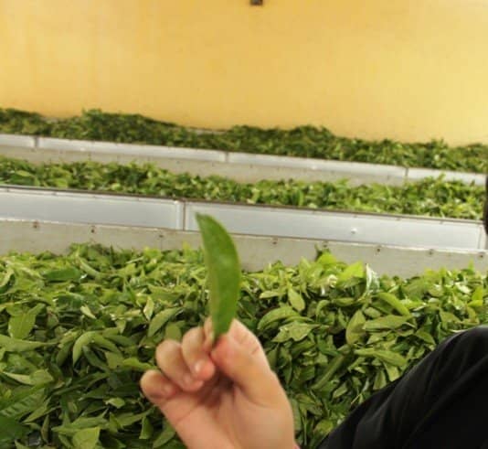 Historical Photographs & Artifacts