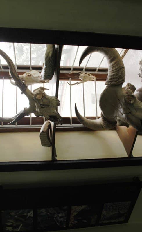 Scenic Mountain Drive