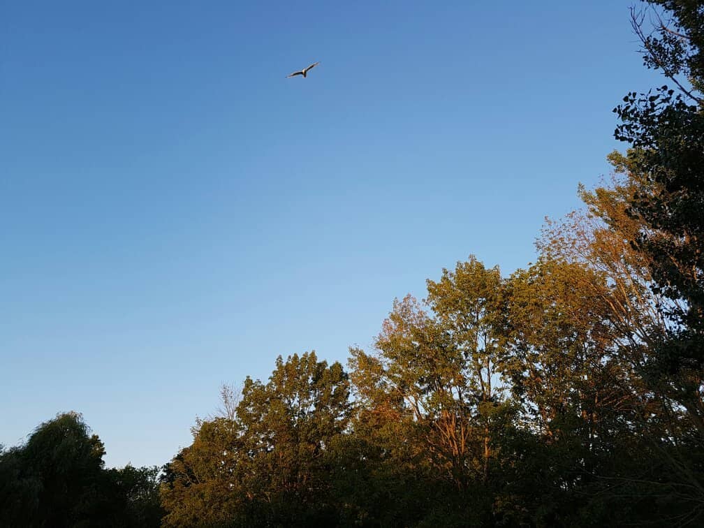 Scenic Nature Trails