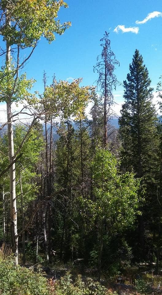 Breckenridge Gondola Ride