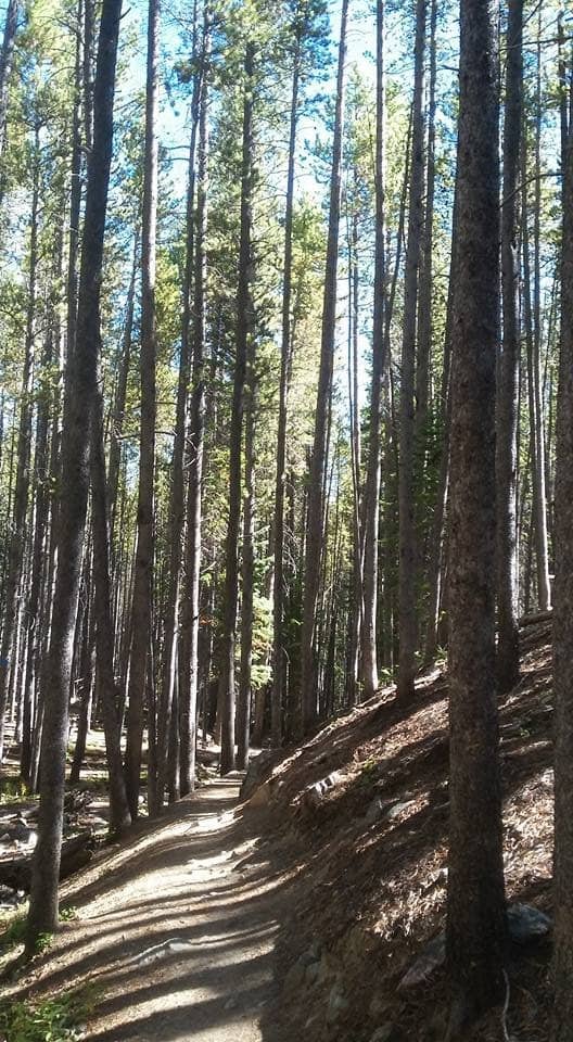 Summer Mountain Activities