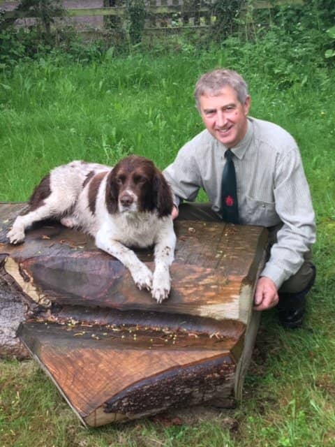 Peaceful Lakeside Walks