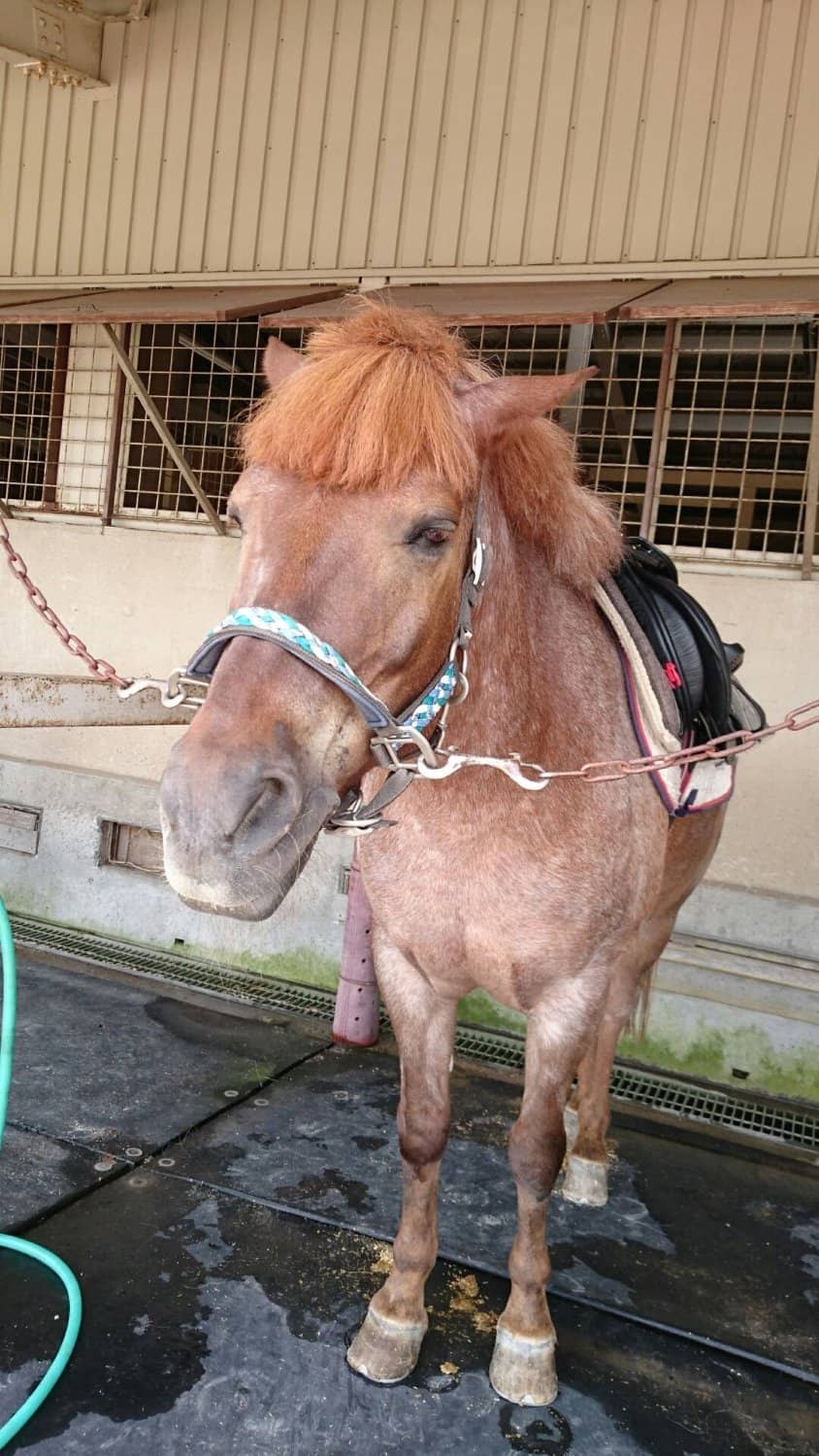 Scenic Plateau Views