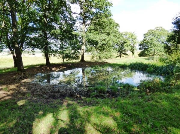 Panoramic Countryside Views