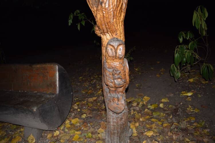 Children's Playground