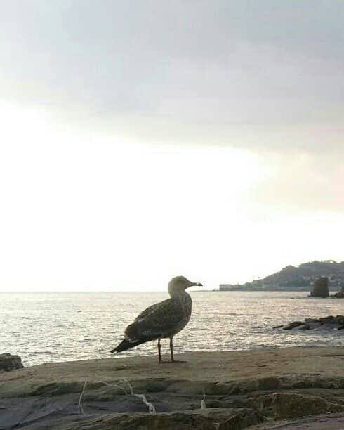 Coastal Cycling Path
