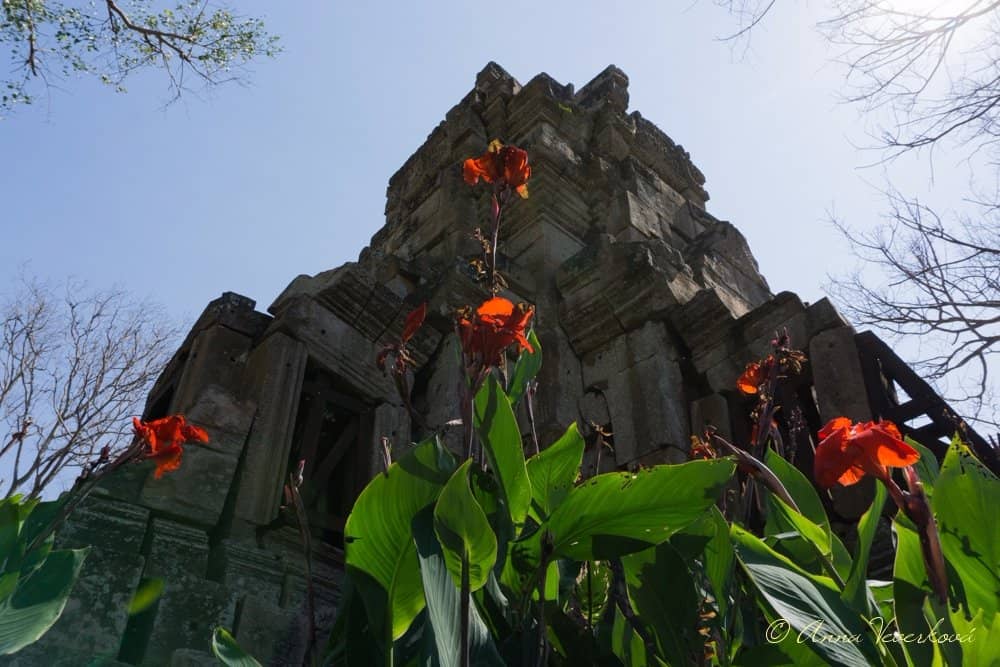 Giant Sitting Buddha