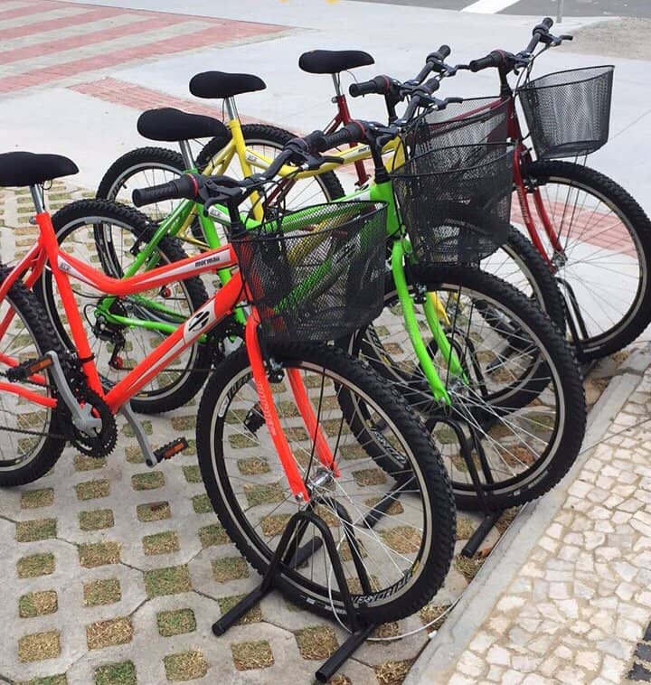 Pet-Friendly Environment