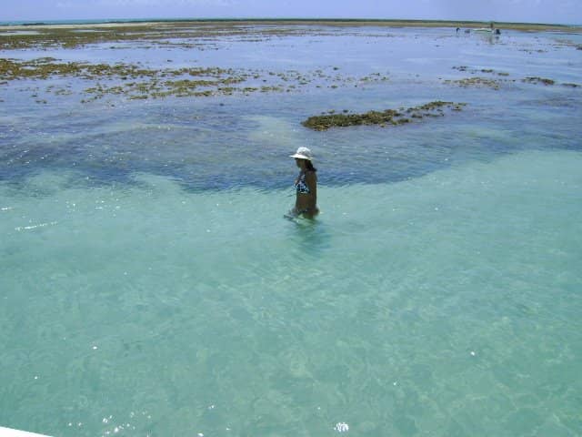 Snorkeling with Fish