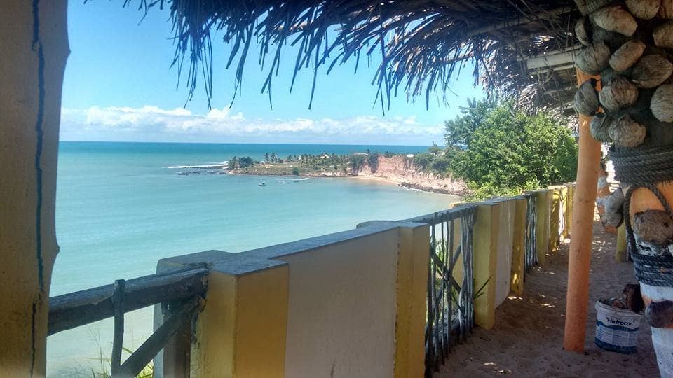 Low Tide Beach Exploration