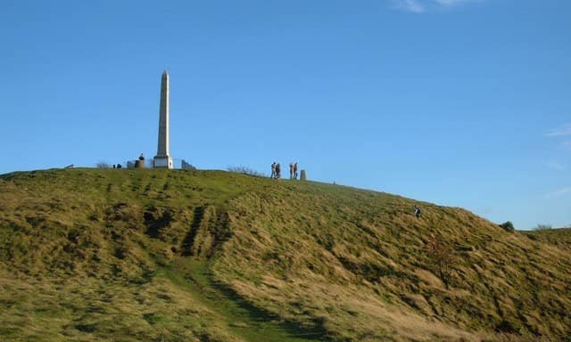 Woodland Exploration Trails