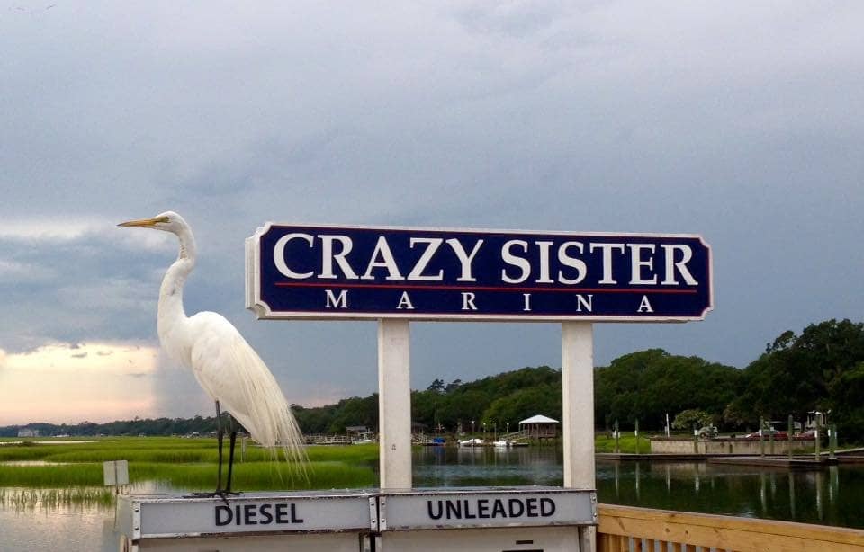 Unique Seakart Experience