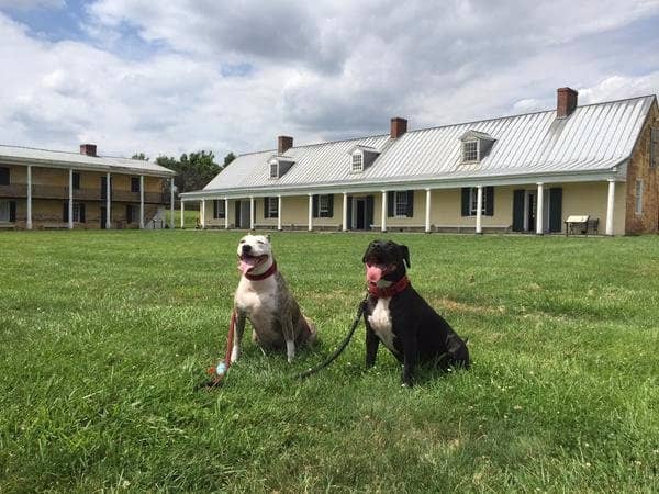 Haunted History Tours