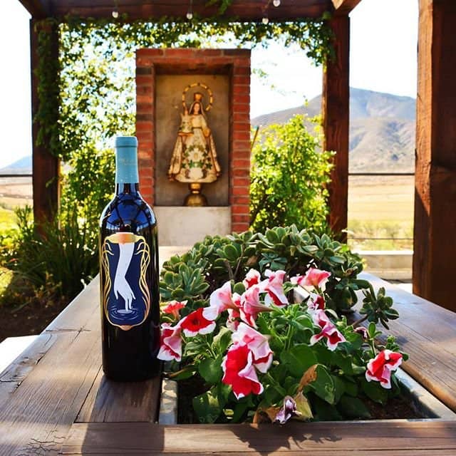 Wine Tasting & Creation