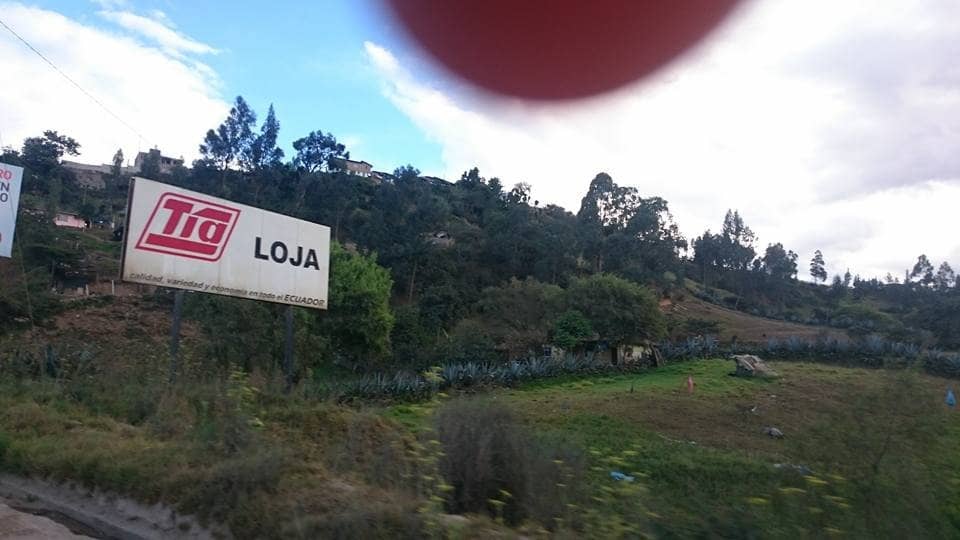 Mesmerizing Night Lights