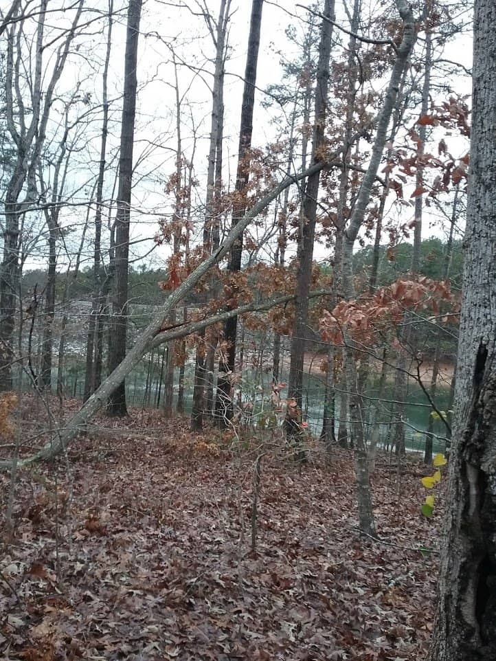 Community Picnic Areas