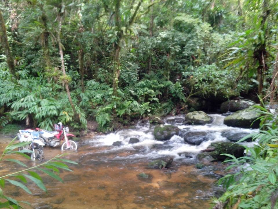 Scenic Hiking Trails