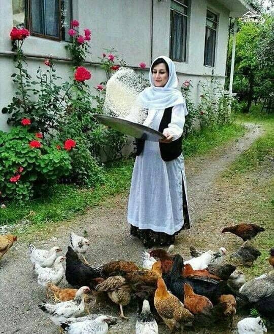 Smallest Gilded Quran