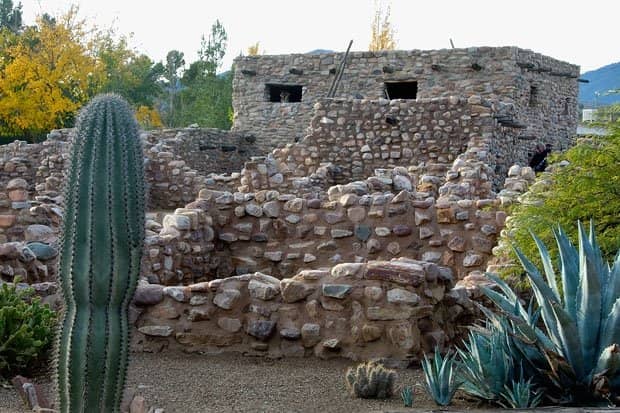 Native Plant Botanical Garden