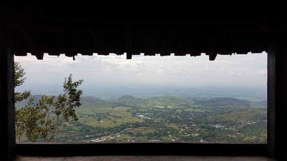 Heliconias and Native Flora