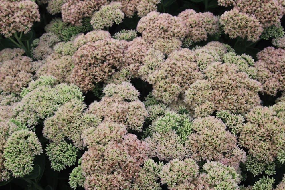 Historic Log Schoolhouse